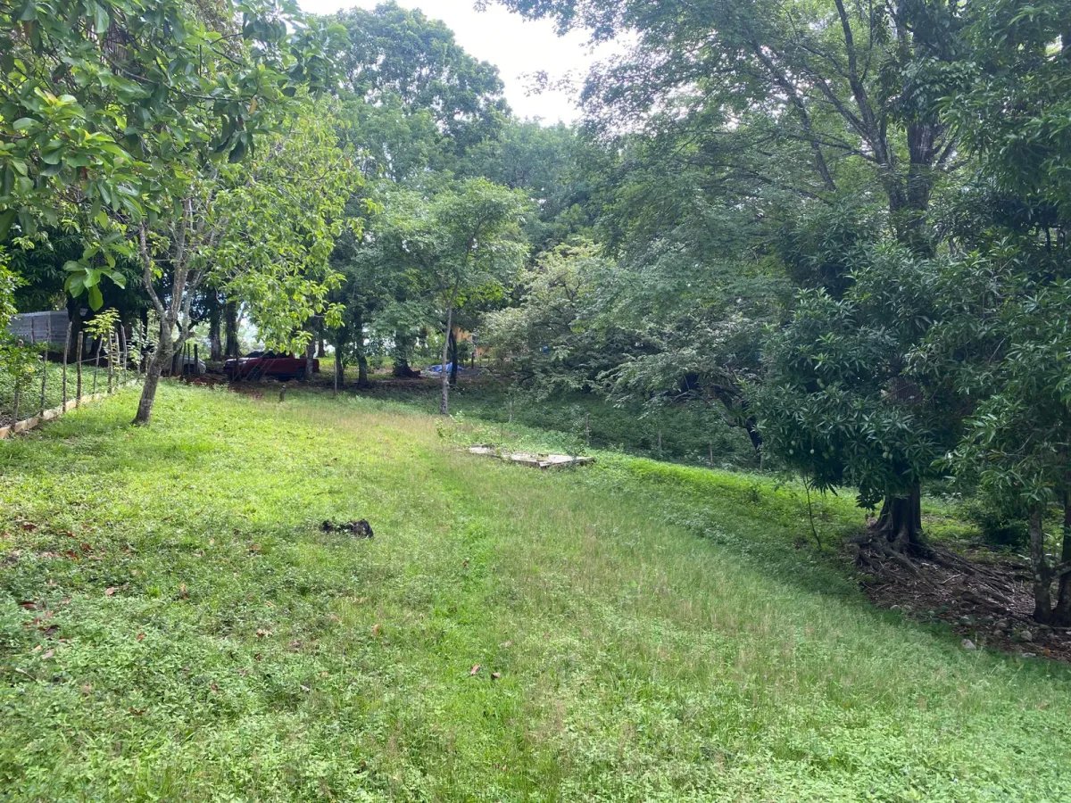 Titled 3,919.5 m² Property for Sale in Santa Catalina, Veraguas  Walking Distance to the Beach