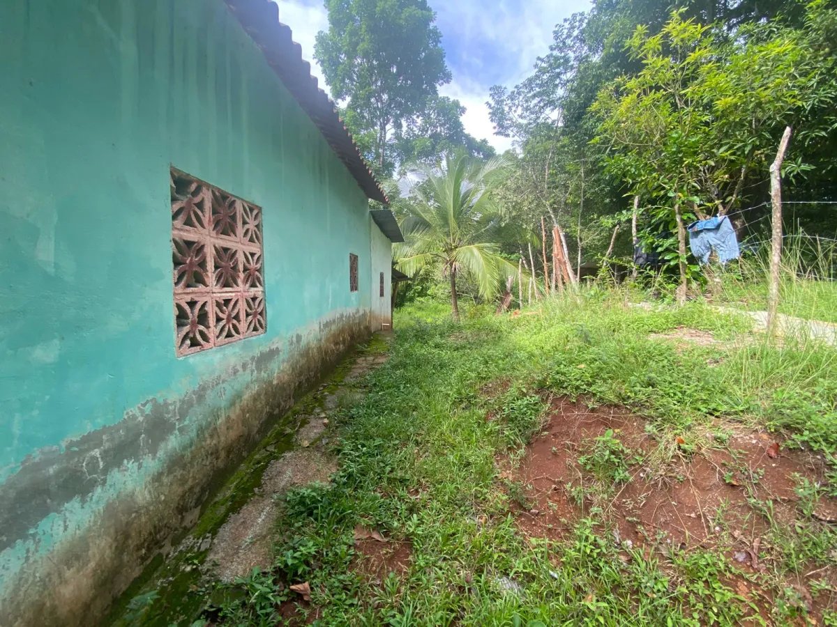 Titled 3,919.5 m² Property for Sale in Santa Catalina, Veraguas  Walking Distance to the Beach