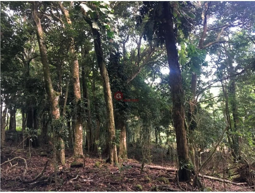 SAN CARLOS / TERRENO A LA ORILLA DE LA LAGUNA / 4800M2