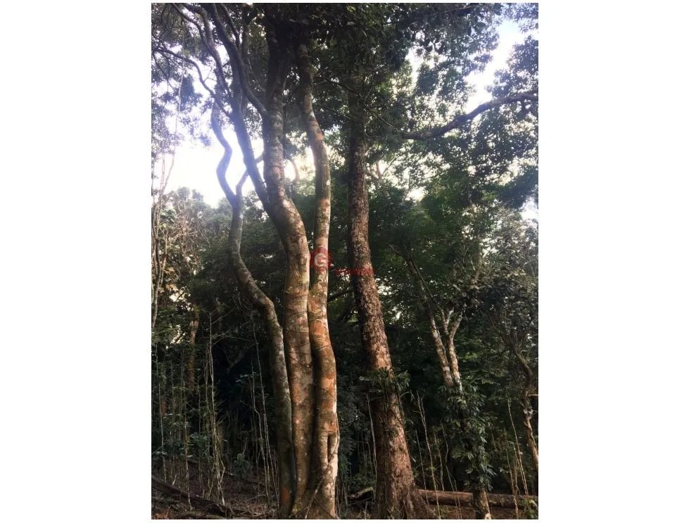 Building Lot for sale in San Carlos