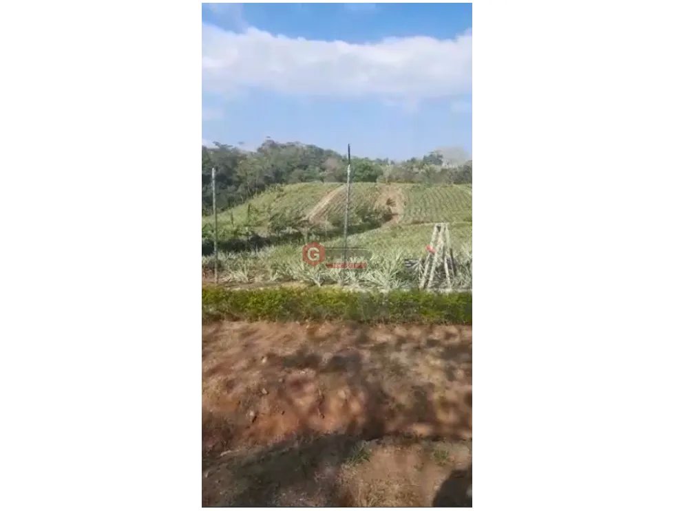 Building Lot for sale in Chorrera