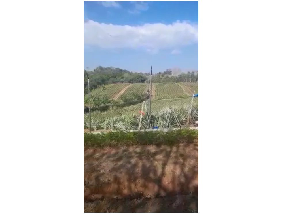 Building Lot for sale in Chorrera