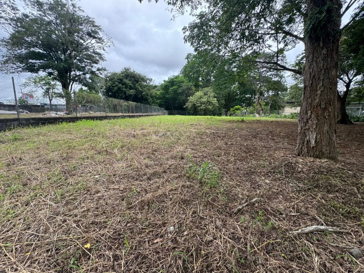 Land for Rent Near UNACHI in David