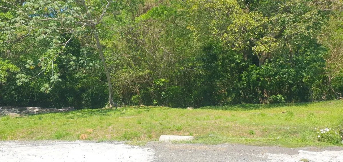 Terreno en venta en urbanización Villa Natalia