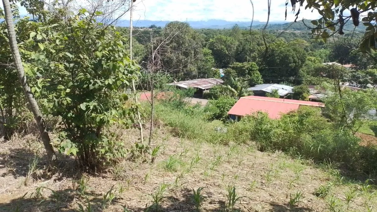 Venta de finca en Portachuelo