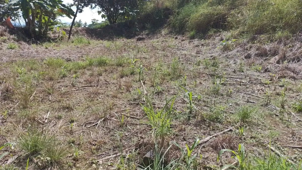 Venta de finca en Portachuelo