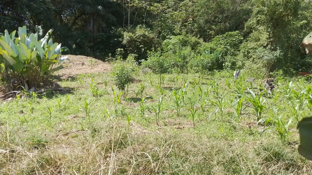Venta de finca en Portachuelo