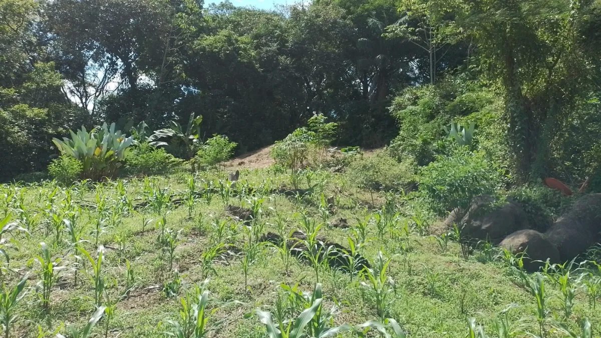 Venta de finca en Portachuelo