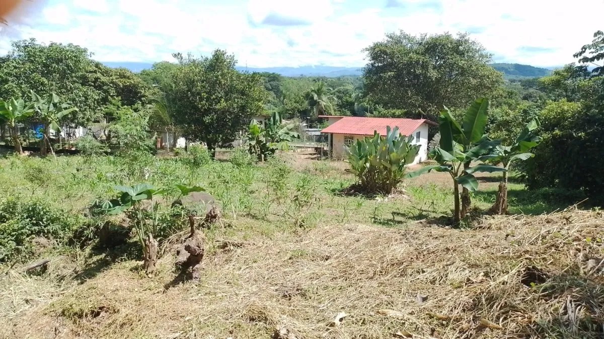 Venta de finca en Portachuelo