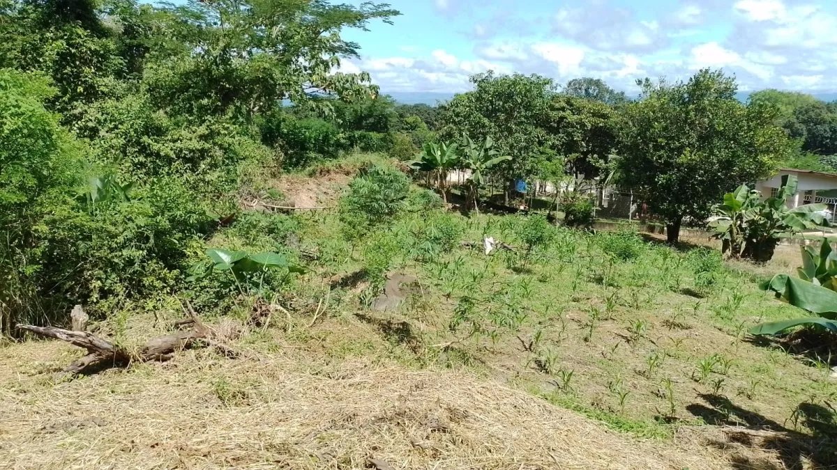 Venta de finca en Portachuelo
