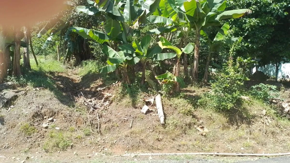Venta de finca en Portachuelo
