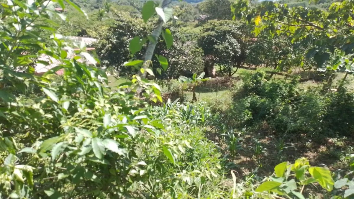 Venta de finca en Portachuelo