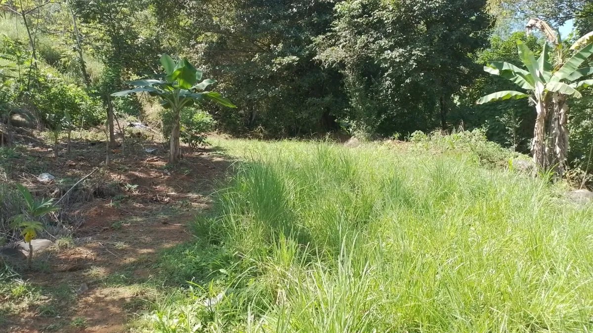 Venta de finca en Portachuelo