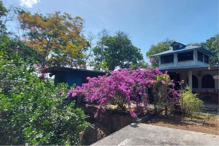 For sale farm in Nueva Providencia, Colón