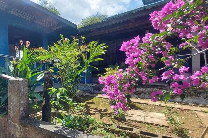 For sale farm in Nueva Providencia, Colón