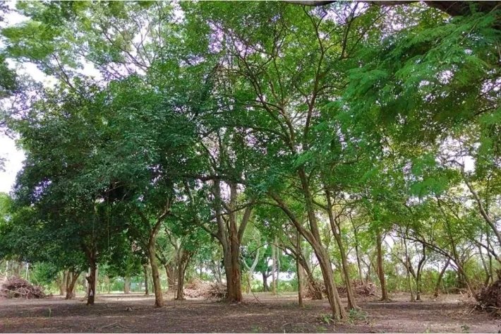 Se vende terreno en Juan Hombrón, Antón