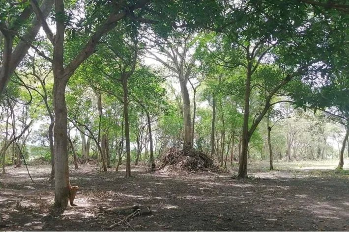 Se vende terreno en Juan Hombrón, Antón