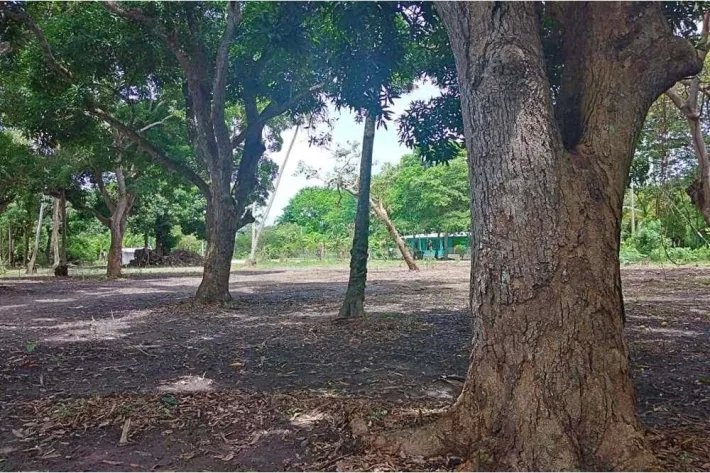 Se vende terreno en Juan Hombrón, Antón