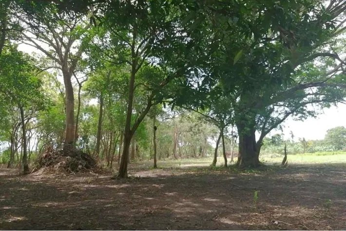 Se vende terreno en Juan Hombrón, Antón