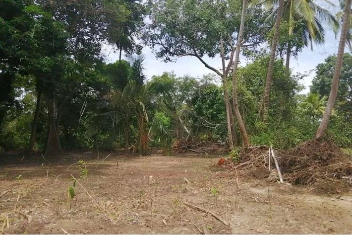 Land for sale in Juan Hombrón, Antón