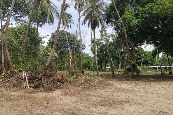 Land for sale in Juan Hombrón, Antón