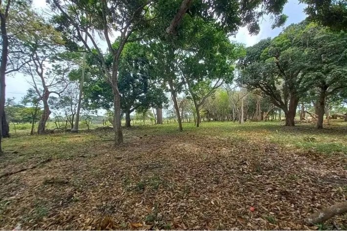 Land for sale in Juan Hombrón, Antón