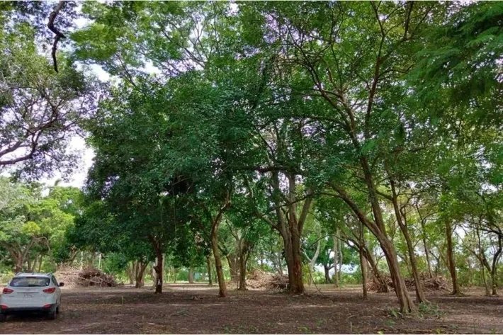 Land for sale in Juan Hombrón, Antón