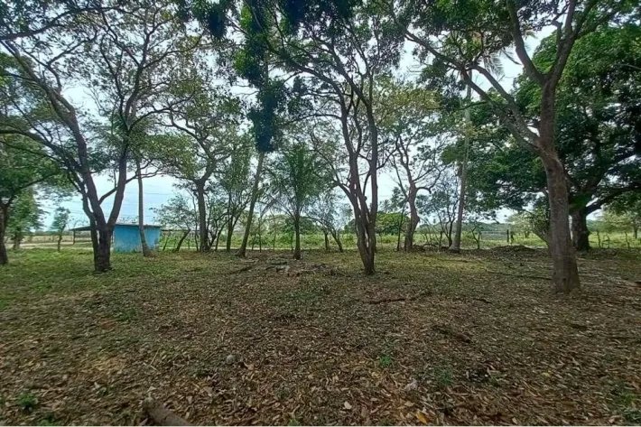 Land for sale in Juan Hombrón, Antón