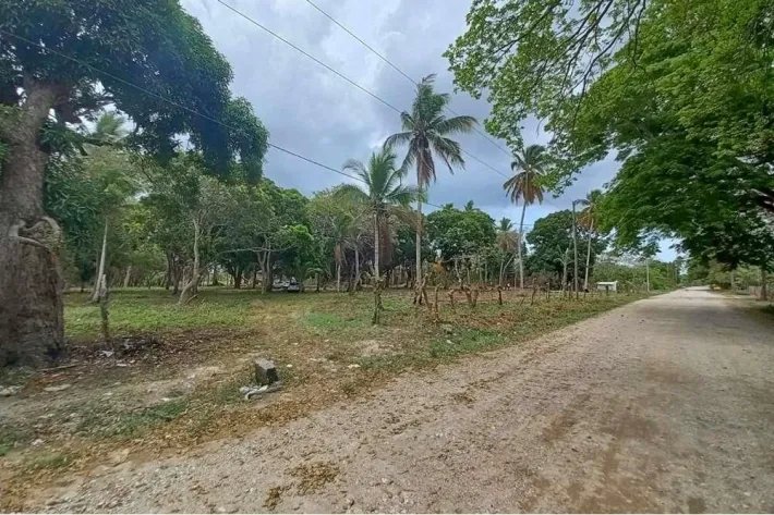 Land for sale in Juan Hombrón, Antón