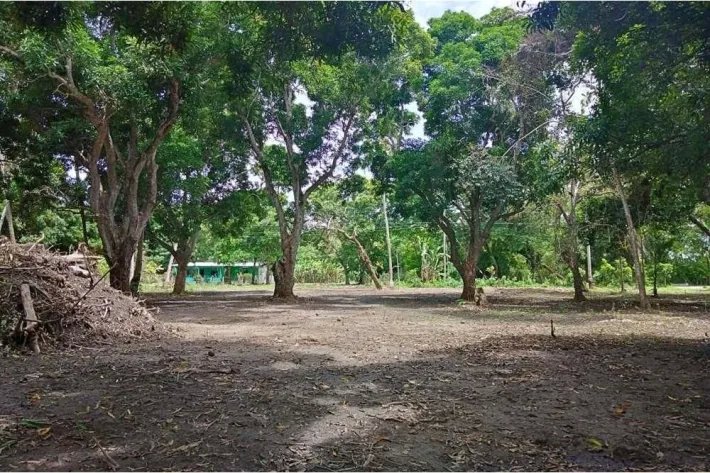 Land for sale in Juan Hombrón, Antón