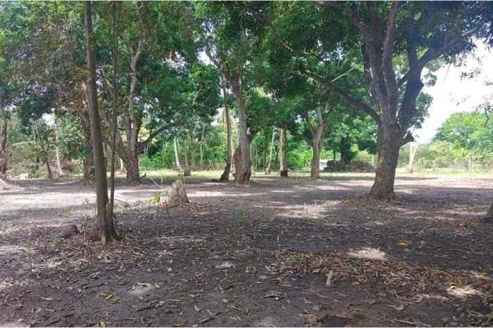 Land for sale in Juan Hombrón, Antón