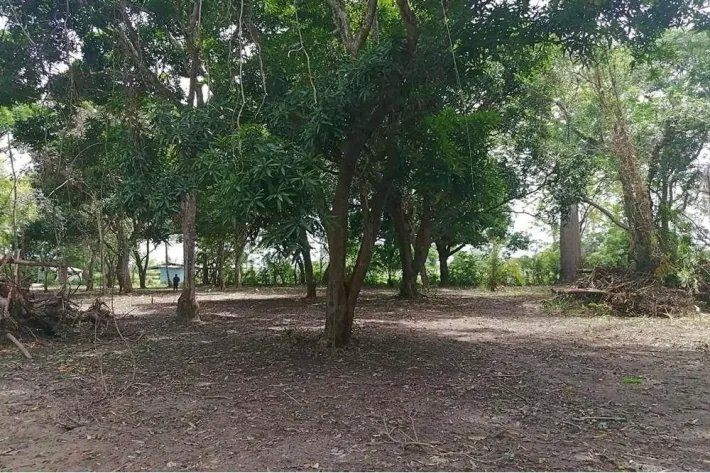 Land for sale in Juan Hombrón, Antón