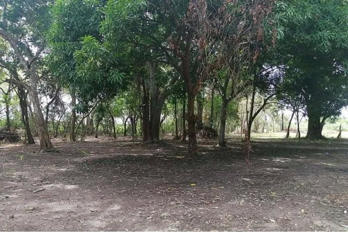 Land for sale in Juan Hombrón, Antón