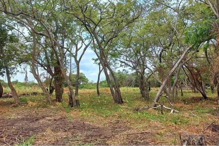 Land for sale in Juan Hombrón, Antón