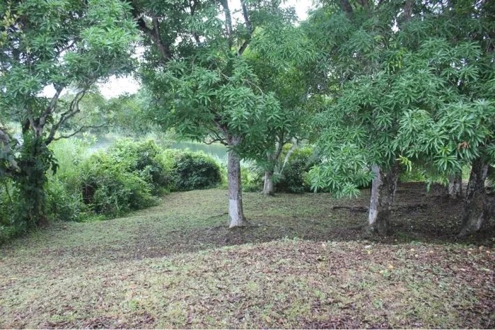 Venta de casa de campo en Nueva Providencia, Colón