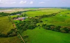 VENTA DE TERRENO FRENTE AL MAR EN JUAN HOMBRÓN COCLE PANAMÁ