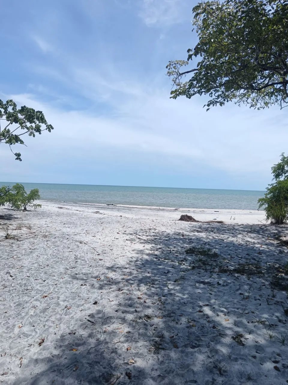 VENTA DE TERRENO FRENTE AL MAR EN JUAN HOMBRÓN COCLE PANAMÁ