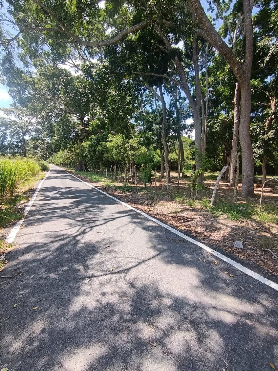 VENTA DE TERRENO FRENTE AL MAR EN JUAN HOMBRÓN COCLE PANAMÁ