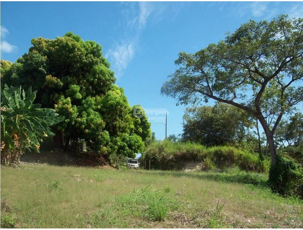 LAND / CHAME / CORONADO / 1543 M2 / PAVED ROAD / COOL CLIMATE