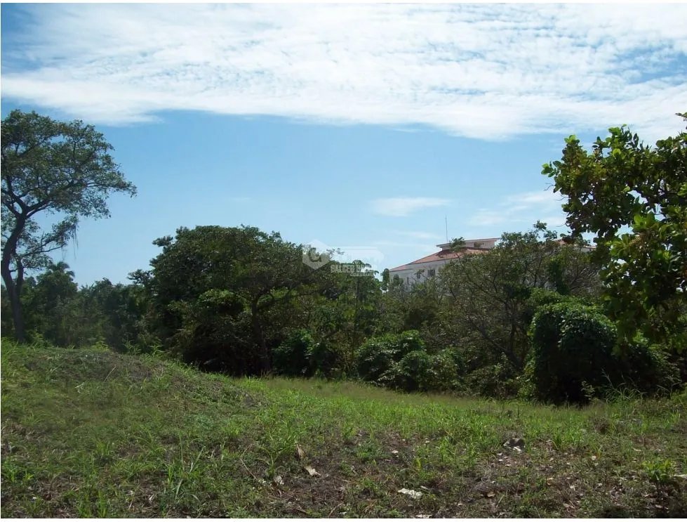 LAND / CHAME / CORONADO / 1543 M2 / PAVED ROAD / COOL CLIMATE