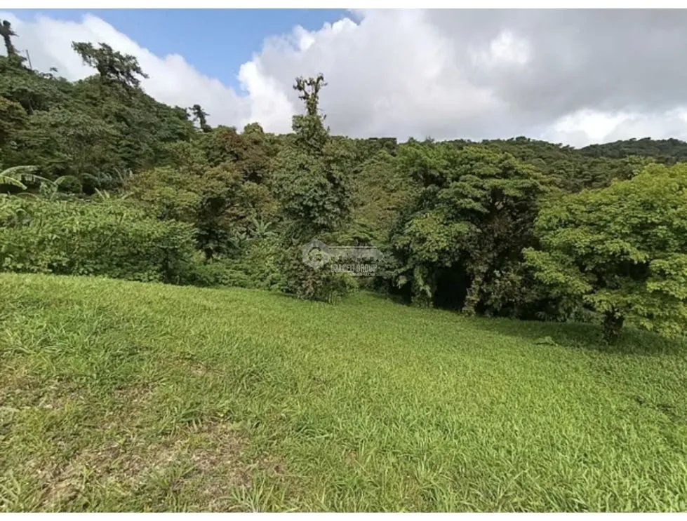SE VENDE TERRENO EN CHAME ALTOS DE MARIA 1314 M2 CERCA DE CASCADA