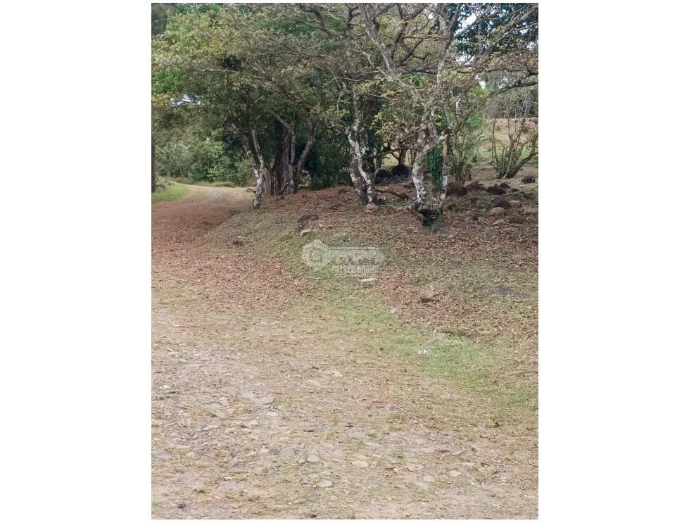 TERRENO / CHAME / CHICA / 2165 M2 /  VIA ASFALTADA / CLIMAS FRESCOS