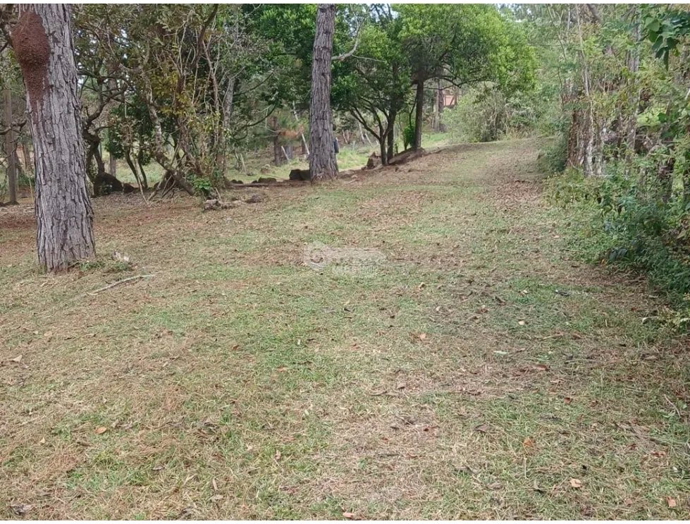 TERRENO / CHAME / CHICA / 2165 M2 / VIA ASFALTADA / CLIMAS FRESCOS