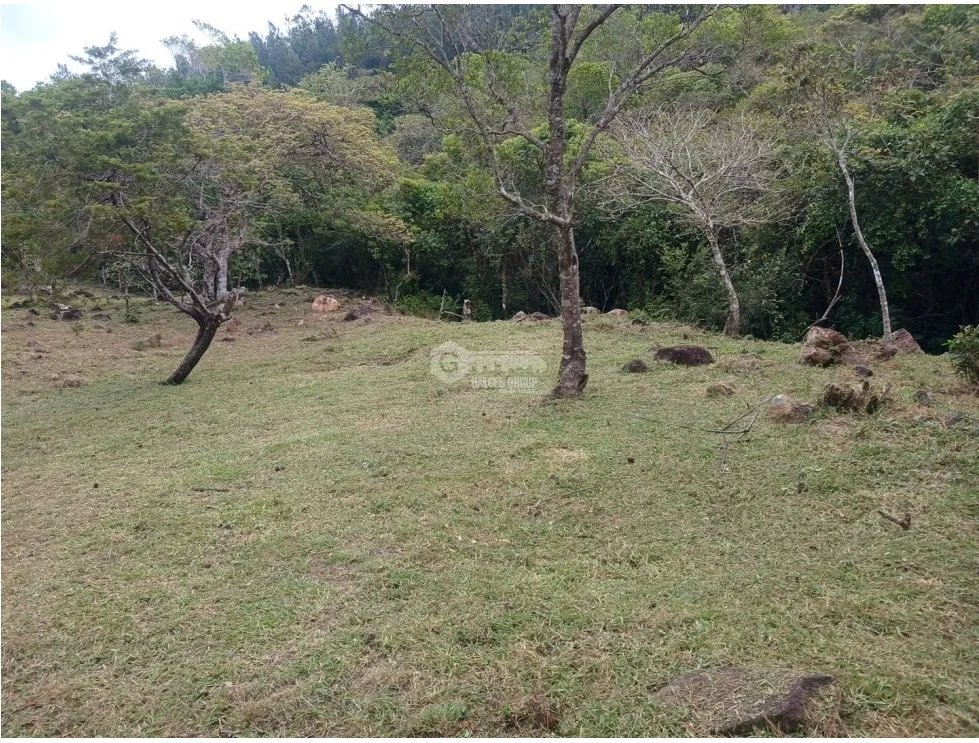 LAND / CHAME / CHICA / 2165 M2 / ASPHALT ROAD / COOL CLIMATE