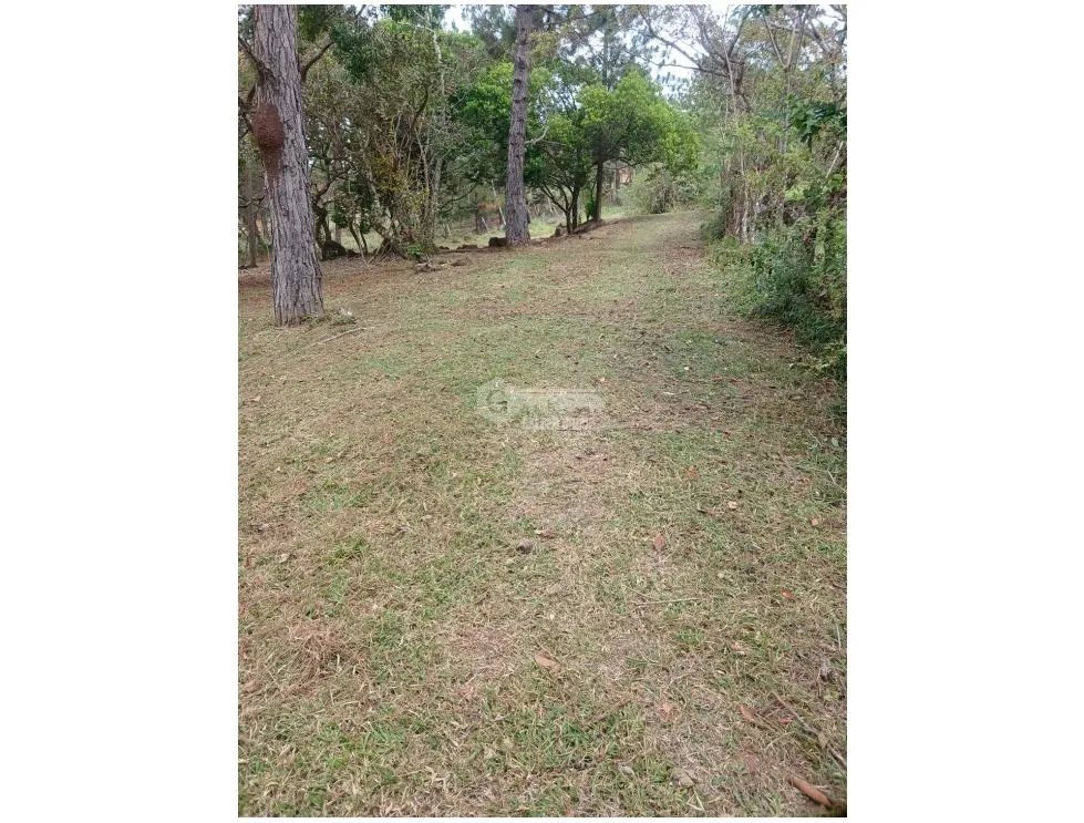 LAND / CHAME / CHICA / 2165 M2 / ASPHALT ROAD / COOL CLIMATE