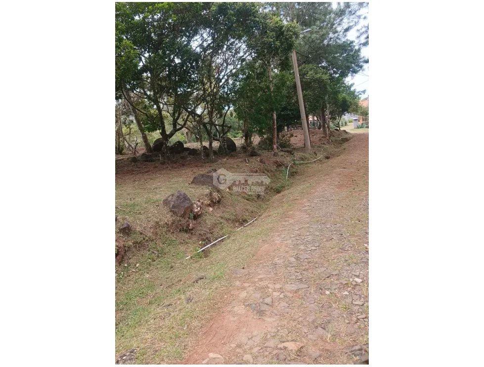 TERRENO / CHAME / CHICA / 2165 M2 /  VIA ASFALTADA / CLIMAS FRESCOS