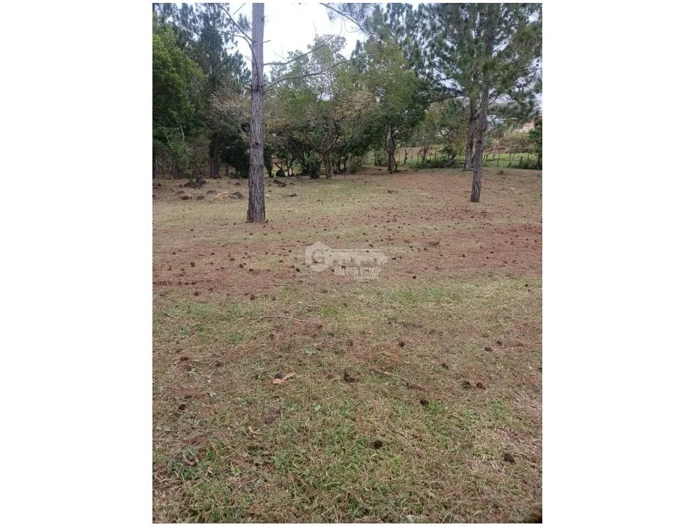 TERRENO / CHAME / CHICA / 2165 M2 /  VIA ASFALTADA / CLIMAS FRESCOS