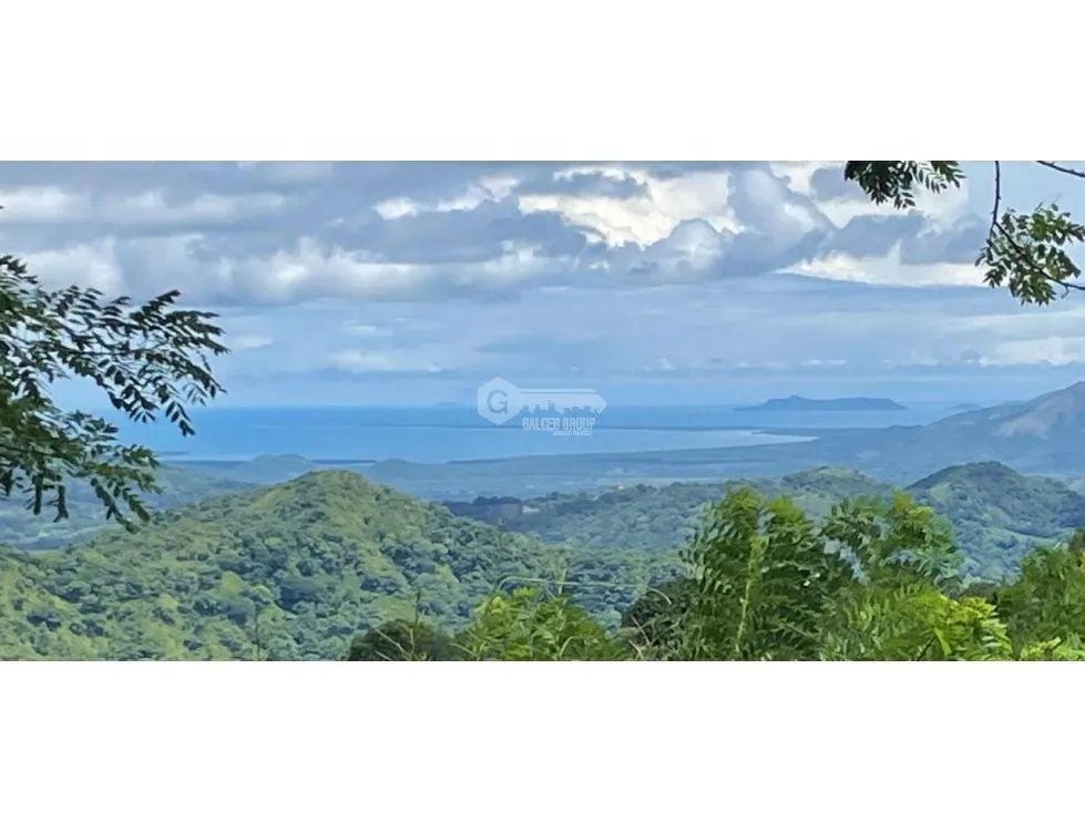 LAND FOR SALE IN CHAME SORA 13.9 HECTARES COOL CLIMATE