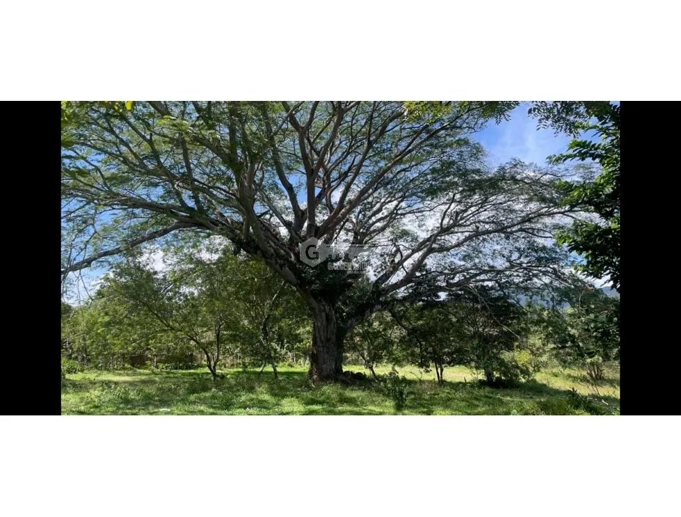 LAND FOR SALE IN CHAME SORA 13.9 HECTARES COOL CLIMATE