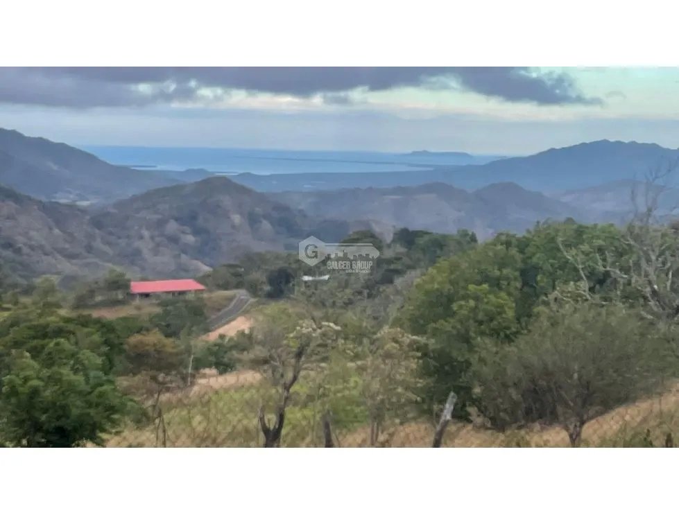 LAND FOR SALE IN CHAME SORA 13.9 HECTARES COOL CLIMATE